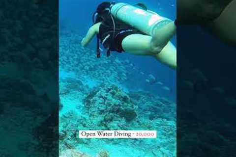 Scuba Diving in Lakshadweep