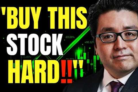 Tom Lee: AI Stocks Are Not In A Bubble - It’s The Next Tech Revolution (3 AI Stocks To Buy Now)