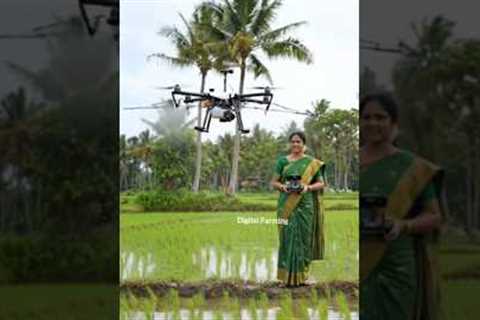 Woman Farmer Using Drone Technology | Smart Farming Spray in Paddy Field