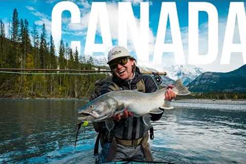 This Glacier River Is FULL of Giant Bull Trout (Fly Fishing Canada)