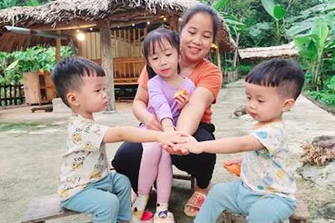Single Mother - Full Video of the Process of Building and Protecting Her Land | Ly tieu tieu