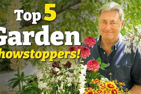 Top 5 Showstopping Plants to Transform Your Garden