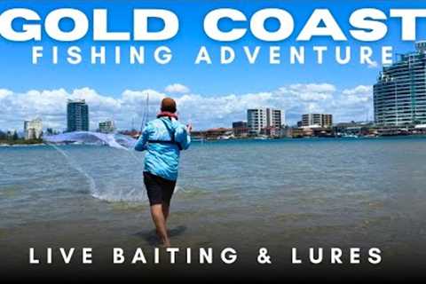 Gold Coast Live Bait &amp; Lure Fishing