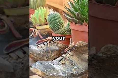 Gardening made easy with these amazing hacks