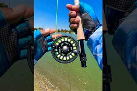Tips using A fly Rod for fly fishing#fishing#tips#fish#shortvideo#shorts#short#viral#youtube#bass