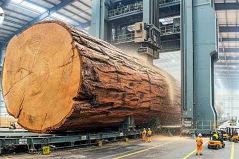 Inside America's $525M 'Super Mill': How AI Scanners &amp; Robot Saws Turns Trees Into Cash