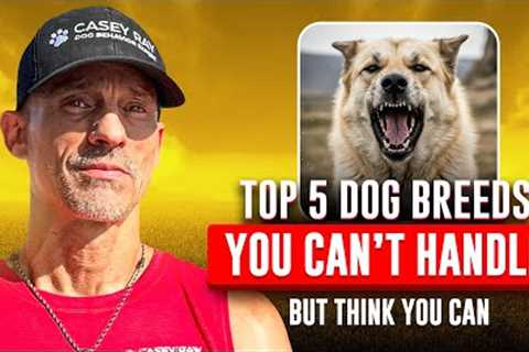 Top 5 Dog Breeds You Can’t Handle (But Think You Can)