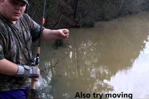 How to start fishing