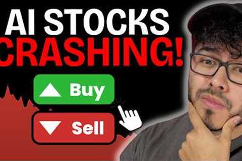 Is the AI Stock Market CRASH a Buying Opportunity?