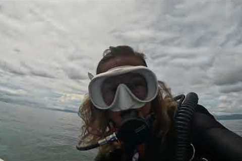 Raw Video : Scuba Diving in Moalboal White Beach Dive Site
