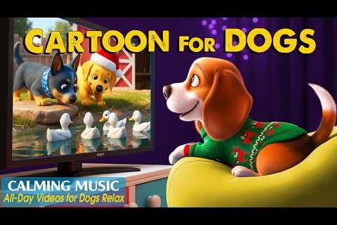 Dog Cartoon: TOP Anti-Boredom Videos for Dogs to Watch Home Alone – Relaxing Dog TV &amp; Music for ..