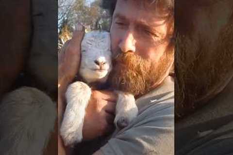 Animals teach us love ❤️