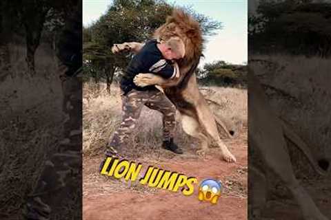 LIONS LOVE DIFFERENTLY 🦁❤️