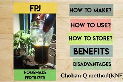 FPJ Plant Fermented Juice | How to make,use, preserve ,store? Homemade fertilizer Chohan Q method