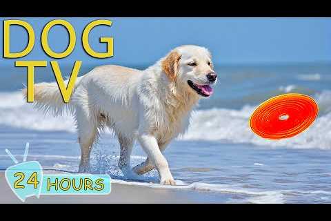 DOG TV: Videos Anti-Stress &amp; Entertain for Dogs to Watch When Home Alone - Best Relax Music for ..