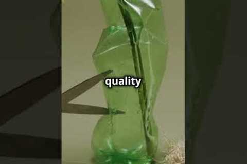 Garden Hacks That Actually Work!🌿 Top 4 Quick Tips!#gardeningideas #gardening #gardeningtips..