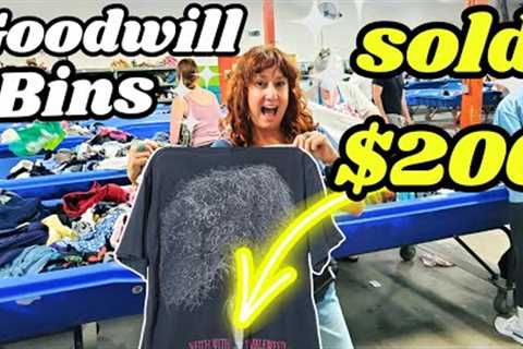 Turning $2 Into $200 At The Goodwill Outlet Bins! ~ Am I A T-Shirt Bro Now?! ~ Reseller Thrift Haul