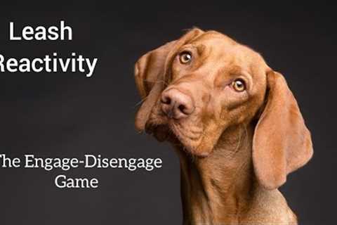 The Engage-Disengage Game for Dogs