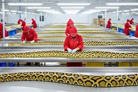 Inside the PYTHON SKIN Factory: How GIANT Snakes Become $10,000 Handbags | BILLION DOLLAR INDUSTRY