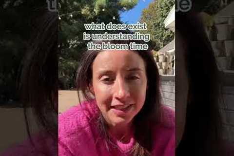 Landscape Design Rules ep. 2