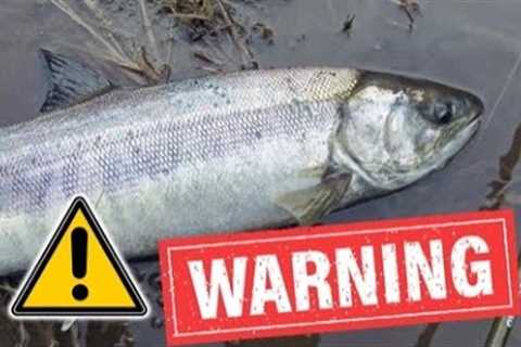 WARNING: This 30-Second Jig will catch too many…