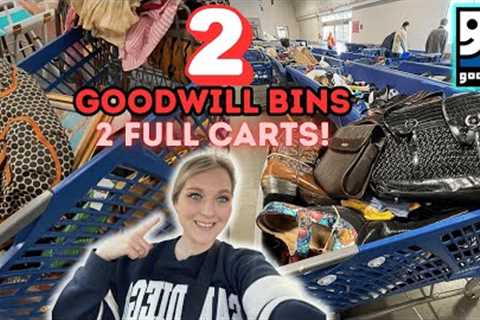 2 Goodwill Bins in 1 DAY! We’re Back In Portland And WE Got 💥2 FULL CARTS💥! +2 HAULS!