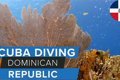 Scuba Diving in the Dominican Republic w/@GoDominicanRepublic