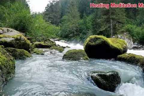 Relaxing Meditation Music – Calm Your Mind &amp; Reduce Stress #healingmeditationmusic288