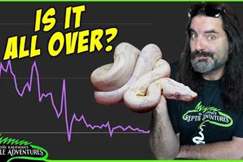 Is the Reptile World Dying?