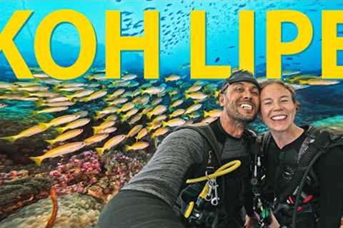 Scuba Diving in Koh Lipe: The ULTIMATE GUIDE! 🇹🇭