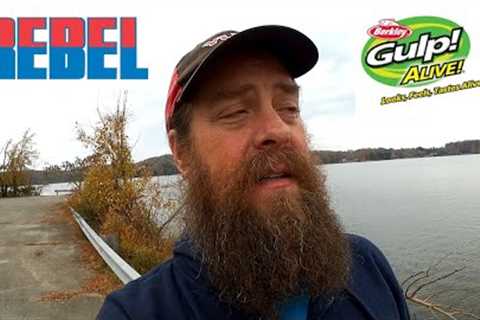 REBEL JERKBAIT vs 1 Inch GULP ALIVE MINNOW (Which Lure is Better?)
