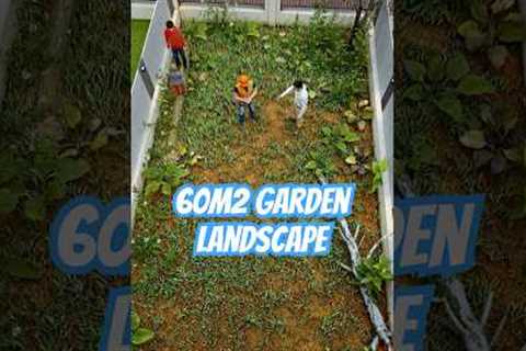 60m² Garden Landscape - Simple Tips for a Beautiful Backyard!