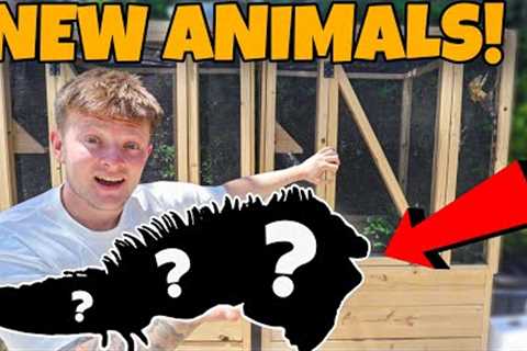 BUYING NEW EXOTIC ANIMALS!