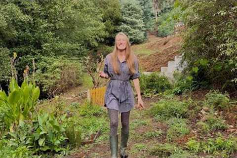 Old Things MUST Go! Preparing My Riverland for a Fresh Start