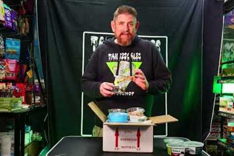 #reptiles #unboxing #unboxingvideo You Won’t Believe What’s Inside This Reptile Box 🐍😱