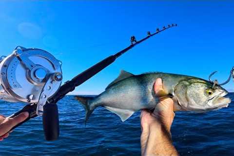 24 Hours Fishing for Giant Fish With BIG BAIT! Giant Tuna fishing!