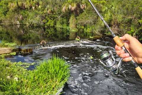 Fishing TINY Everglades spillways &amp; bridges for BIG fish