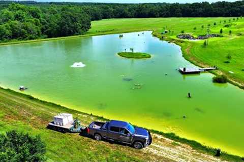 Adding 12,000 Fish to the 5 Acre Pond!