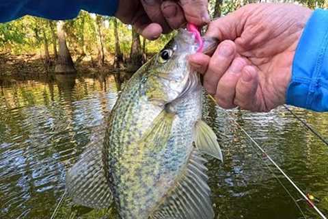 Catch More Crappie, Bass and Bream with These 2 Unusual Lure Tips?