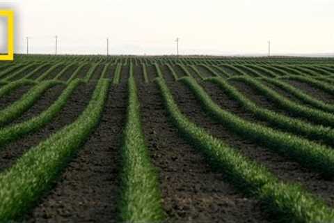 Drones and the Future of Farming | National Geographic