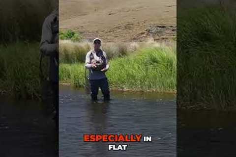 Dry Fly Fishing: Mistakes and Fixes!