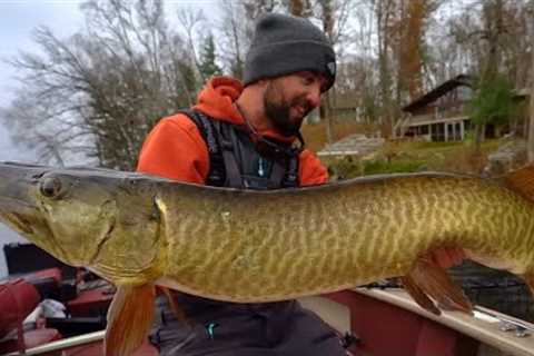 The ART Of Fall Musky SUCKER FISHING!!