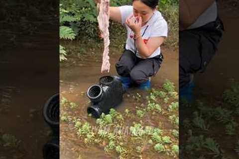 How big fish did the girl catch? #fish #forest #fishing #skills #survival