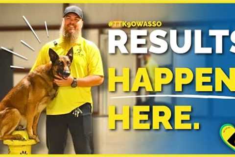 Inside the Best Owasso Dog Training Facility | Tip Top K9 Training Tour