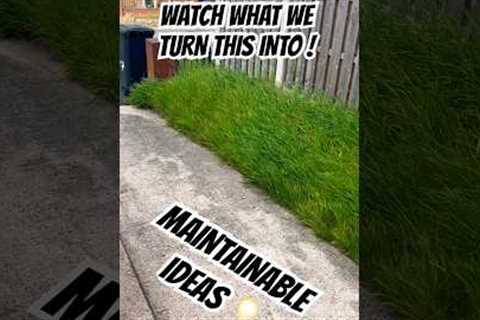 MAINTAINABLE IDEAS 💡 #garden #gardendesign #landscaping #gardenideas #landscape #viral #fyp #shorts