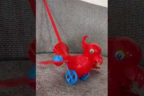 Birds 🦅#gadgets #parcel #toys #unboxing #gifts