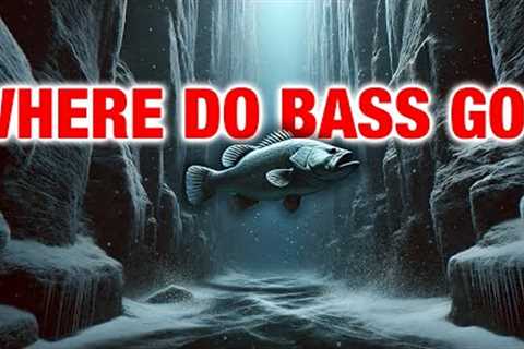 The Cold Water Bass Blueprint: Locations + Top 3 Baits