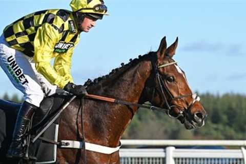 Perfect start over fences for Lulamba at Exeter | Racing TV