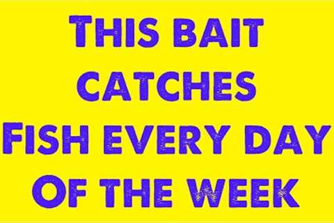 This bait catches fish every day of the week, excels in winter