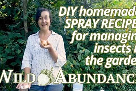 DIY homemade organic pesticide recipes for insects &amp; pests in your garden &amp; permaculture..
